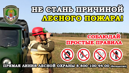 леса под контролем - фото - 1